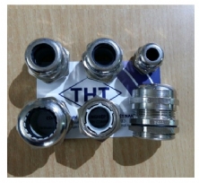 Ốc xiết cáp điện cable gland Đồng mạ INOX PG25